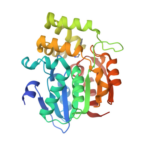 RCSB PDB - 8Y9O: Crystal structure of AtKAI2 in complex with