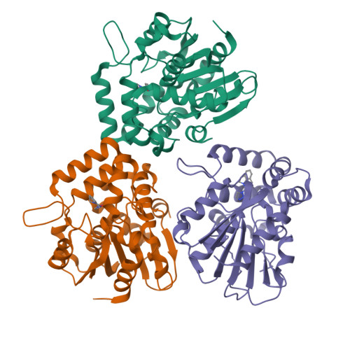 RCSB PDB - 8Y9O: Crystal structure of AtKAI2 in complex with