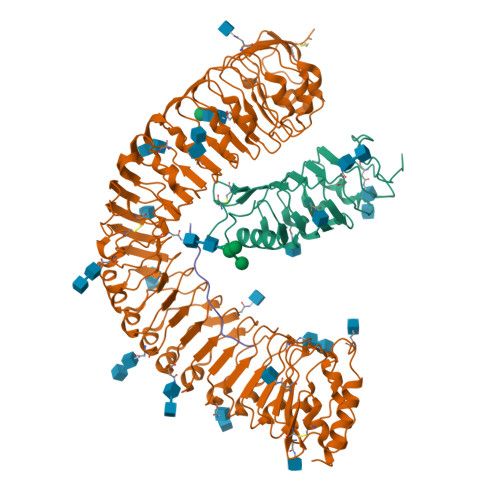 RCSB PDB - 8YAA: Cryo-EM structure of MIK2-SCOOP12-BAK1