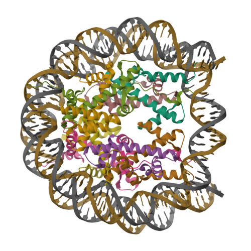 Rcsb Pdb Ybj Cryo Em Structure Of Human Nucleosome Core Particle Composed Of The Widom