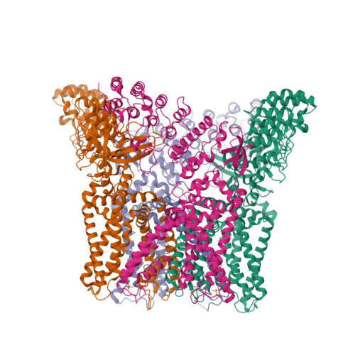 RCSB PDB - 8YCP: structure of human trpv1 in complex with BC5