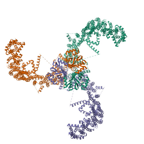 Piezo-type mechanosensitive ion channel component 1 structure