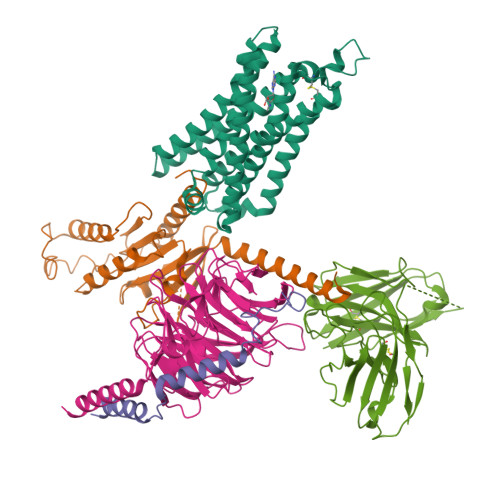 Adenosine receptor A3 structure