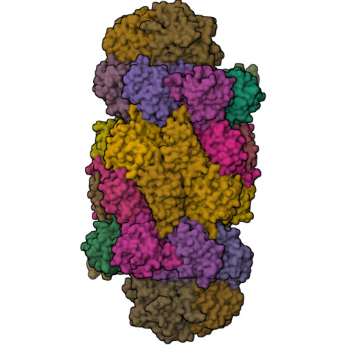 RCSB PDB - 8YIY: Cryo-EM structure of human proteasome assembly ...