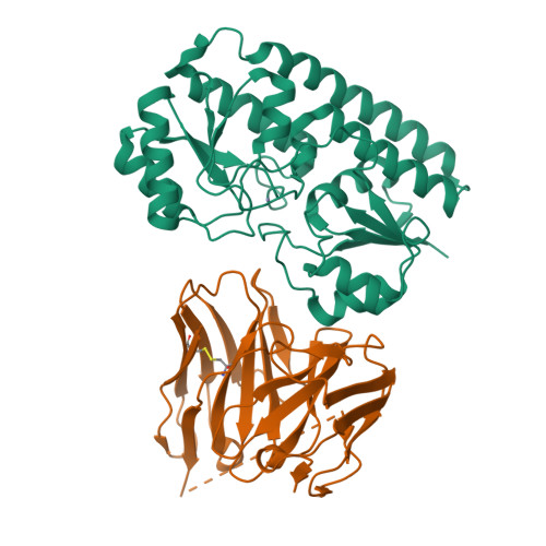 RCSB PDB - 8YJ7: Characerization of a novel format scFvXVHH single ...
