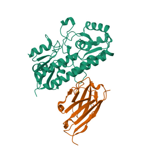 RCSB PDB - 8YJ8: Characerization of a novel format scFvXVHH single ...