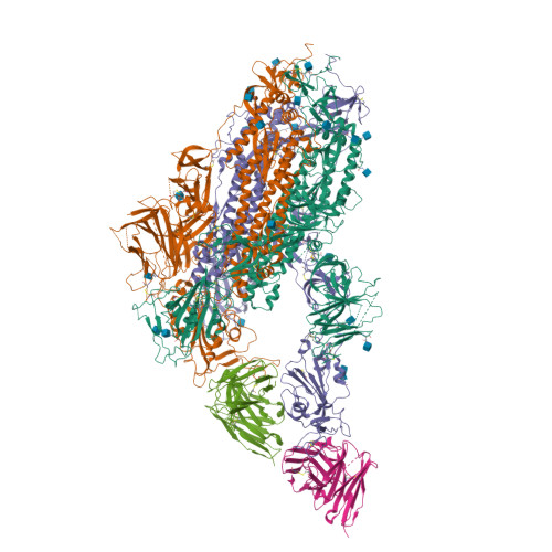 RCSB PDB - 8YKG: Structure of SARS-CoV-2 spike glycoprotein in complex ...