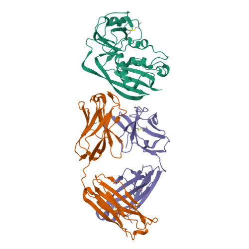 RCSB PDB - 8YKT: Fab and SEB complex