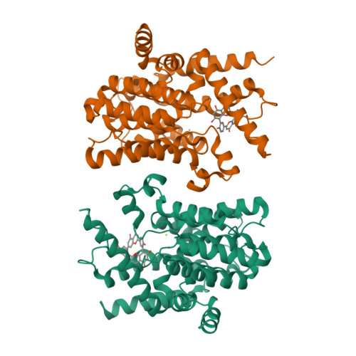 Rcsb Pdb 8ylc The Crystal Structure Of Pde4d With Amentoflavone Rcsb Pdb 8ylc The Crystal Structure Of Pde4d With Amentoflavone