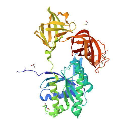RCSB PDB - 8YM3: Structural basis of Elongation factor Tu in regulating ...