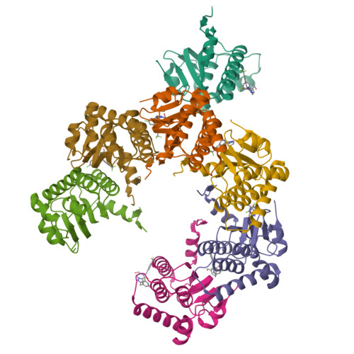 RCSB PDB - 8YPA: Human mitochondrial ClpP in complex with TR89