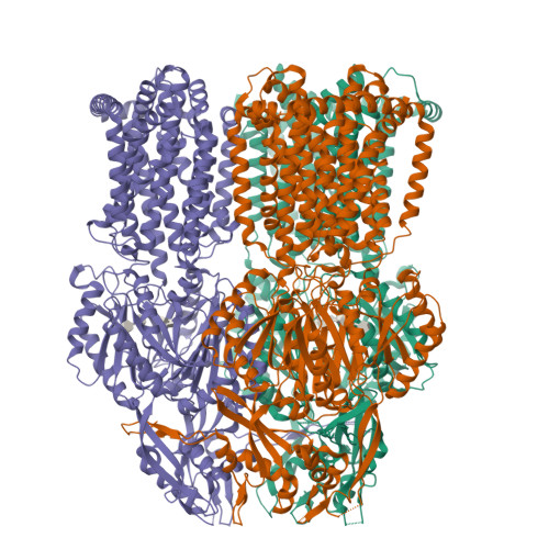 rcsb pdb - 6pt7: structure of kate1 catalase from... RCSB PDB - 8YR0: Cryo-EM Structure of AdeG from Acinetobacter baumannii