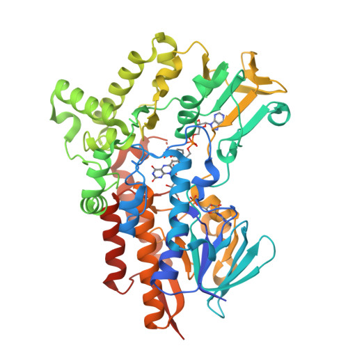 rcsb pdb - 6pt7: structure of kate1 catalase from... RCSB PDB - 8YU0: Structure of cyclohexanone monooxygenase mutant from ...