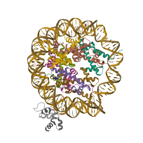 RCSB PDB - 8YV8: Cryo-EM structure of CDCA7 bound to nucleosome ...