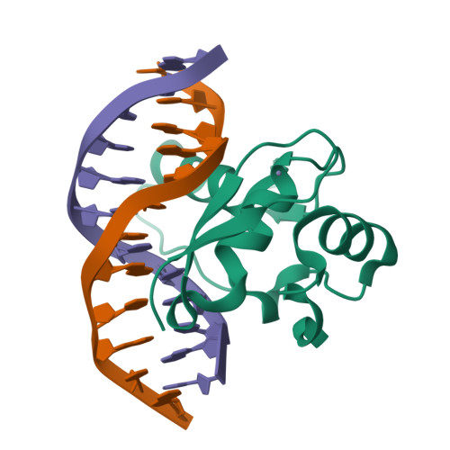 RCSB PDB - 8YV9: Crystal structure of Caenorhabditis elegans HIM-8 ZF1 ...