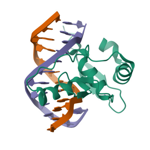 RCSB PDB - 8YVA: Crystal structure of Caenorhabditis elegans ZIM-2 ZF1 ...