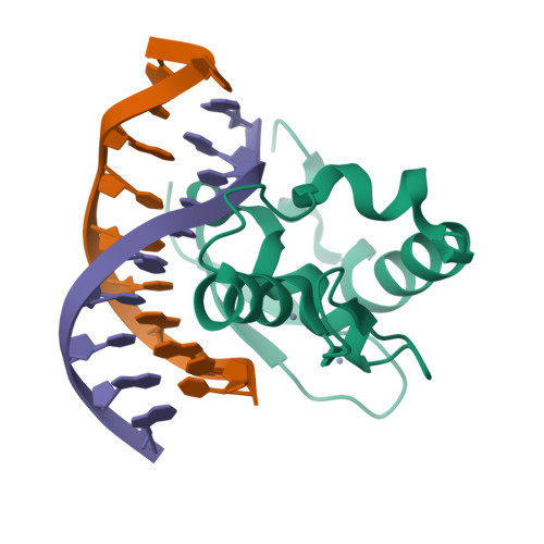 RCSB PDB - 8YVB: Crystal structure of Caenorhabditis elegans ZIM-1 ZF1 ...