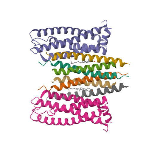 PDB 8YVU