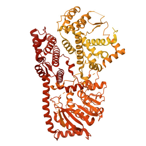 RCSB PDB - 8YXL: Structure of C-terminal domain of L protein from Mumps ...