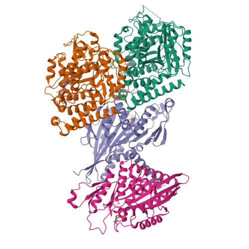 林ページ RCSB PDB - 8YY5: Kinesin-14 with AlF3 bound to 14 PF Microtubule