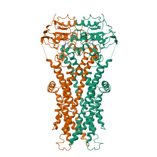 PDB 8Z0F
