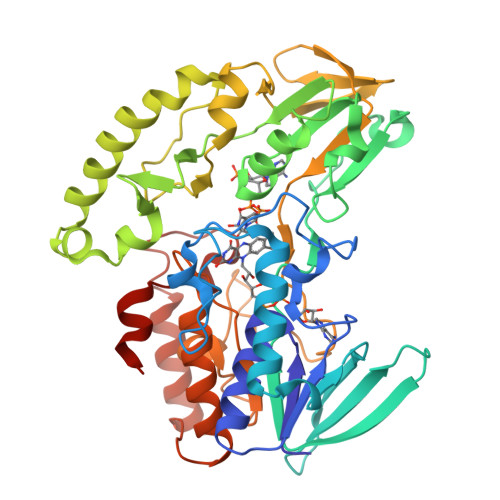 RCSB PDB - 8Z13: Crystal structure of DiatB-NADPH complex