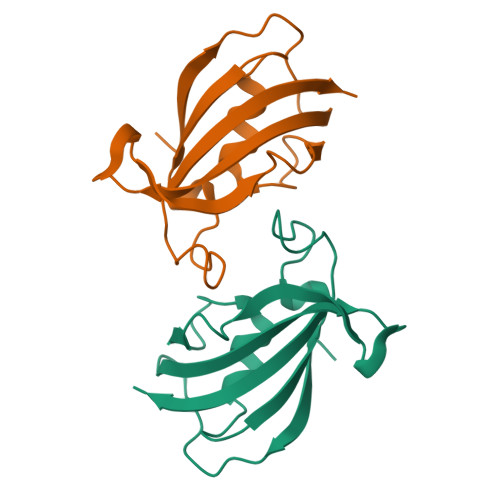 RCSB PDB - 8Z28: FK506-binding protein 1B