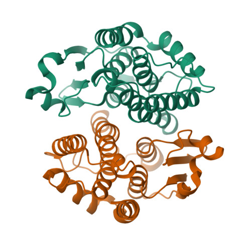 RCSB PDB - 8Z3B: Crystal structure of GSTd2