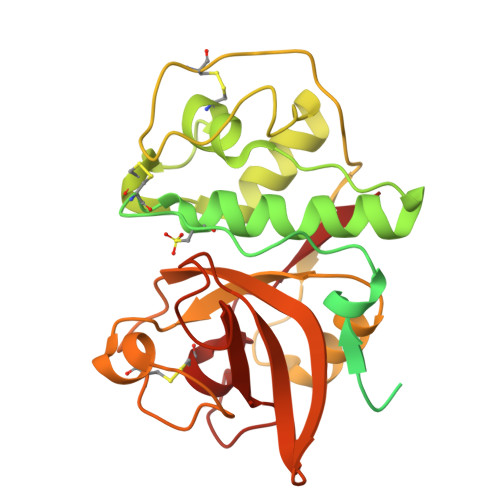 RCSB PDB - 8Z78: Crystal structure of Procerain-B from Calotropis ...