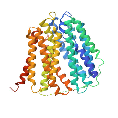 RCSB PDB - 8Z7X: SLC19A3-Thiamine inward structure