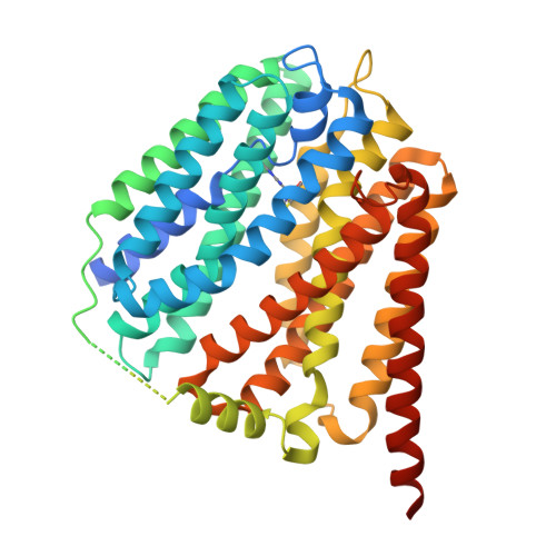 Thiamine transporter 1 structure