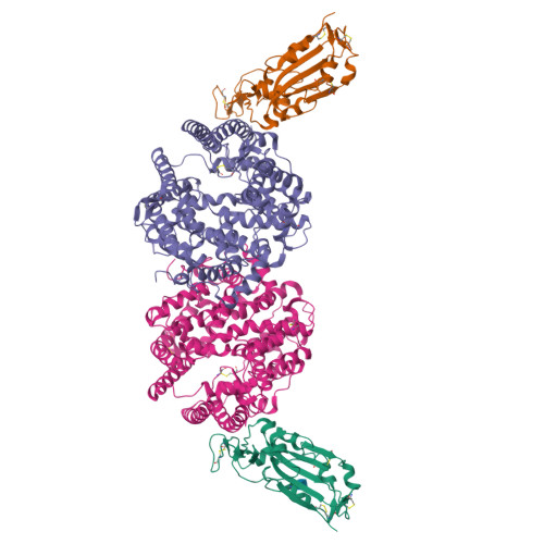 状態確認用2 RCSB PDB - 8Z9I: Crystal structure of RaTG13 RBD bound to