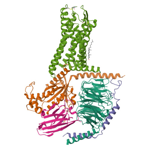 RCSB PDB - 8Z9O: Cryo-EM structure of human GPR4-Gs complex