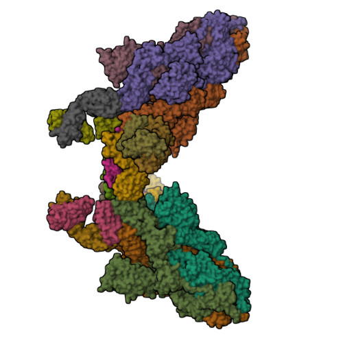 RCSB PDB - 8ZC2: SARS-CoV-2 Omicron BA.2 spike trimer (6P) in RCSB PDB - 8ZC2: SARS-CoV-2 Omicron BA.2 spike trimer (6P) in