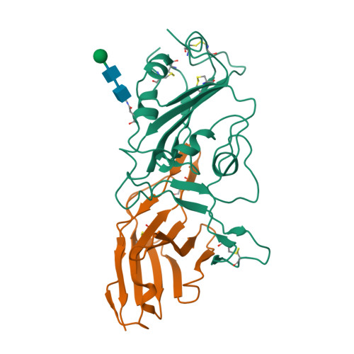 RCSB PDB - 8ZER: Crystal structure of the complex of Wuhan SARS