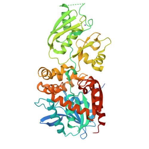 Rcsb Pdb Zex Biosensor Halokbp A