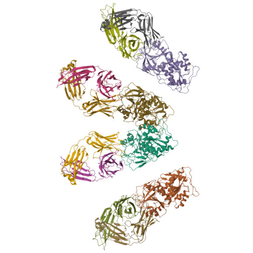 RCSB PDB - 8ZH7: Crystal structure of N-terminal domain of N