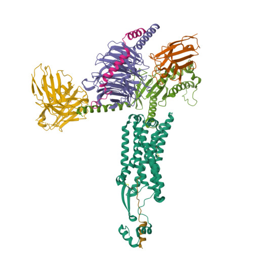 RCSB PDB - 8ZH8: Human GPR103 -Gq complex bound to QRFP26