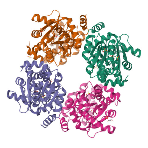 RCSB PDB - 8ZKV: Crystal structure of mutant catalytic domains of ...