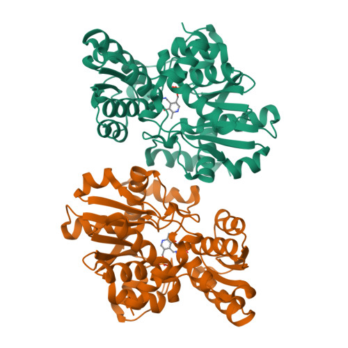 RCSB PDB - 8ZLV: Asymmetric Dimeric Structure of the Catalytic Domain ...