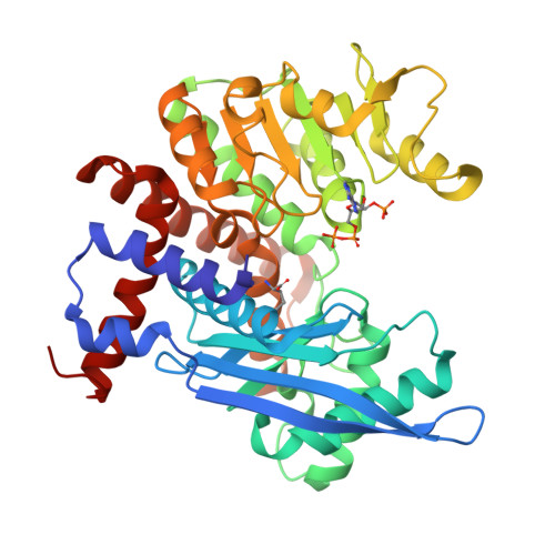 RCSB PDB - 8ZNE: Cryo-EM structure of W89F mutated Glutamate