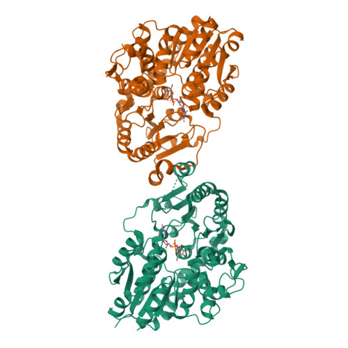 RCSB PDB - 8ZNM: CRYSTAL STRUCTURE OF DI-C-GLYCOSYLTRANSFERASE GGCGT ...