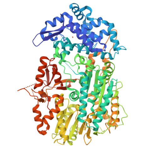 RCSB PDB - 8ZNS: Type I-C CRISPR-associated protein, Cas3