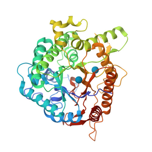 RCSB PDB - 8ZNW: Crystal structure of beta-glucosidase Cba3 from ...