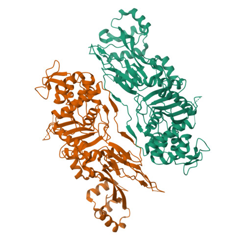 Zpc Structure RCSB PDB - 8ZPC: Acinetobacter baumannii Penicillin-Binding Protein 2