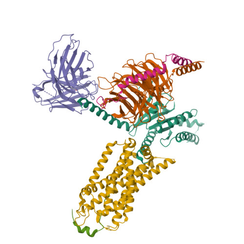 Prolactin-releasing peptide structure
