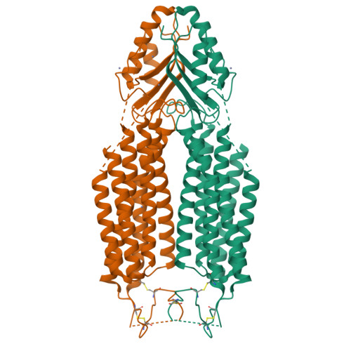 RCSB PDB - 8ZSZ: Cryo-EM structure of human ZnT1, in the presence