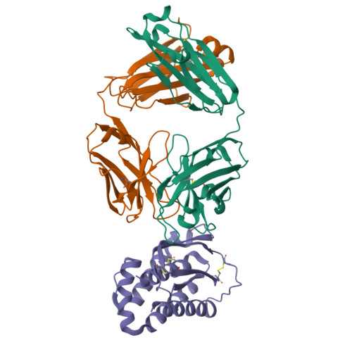 RCSB PDB - 8ZU9: The complex structure of MPXV M1R and