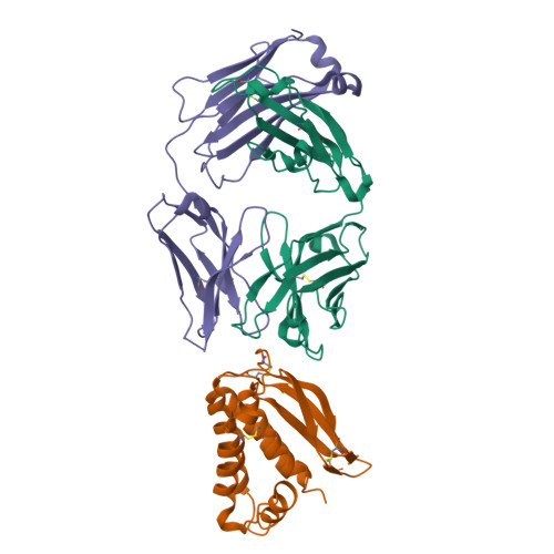 RCSB PDB - 8ZUA: The complex structure of MPXV M1R and