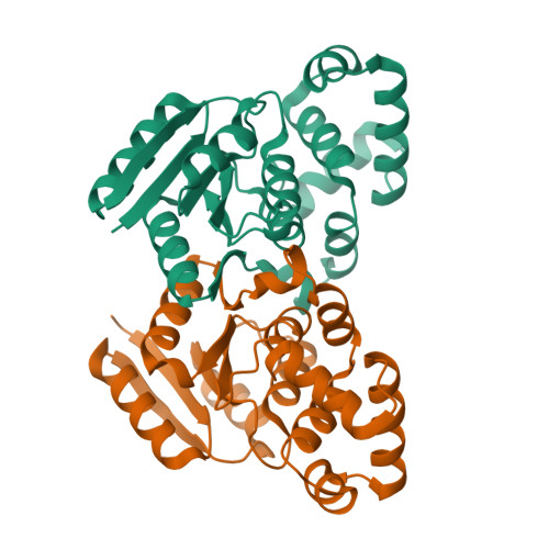 Str Structure RCSB PDB - 8ZWN: Crystal structure of DNA-binding transcriptional ...